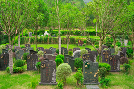 1761540526103121.png 图片.png