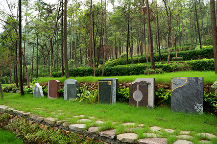 1761621871985642.png 图片.png